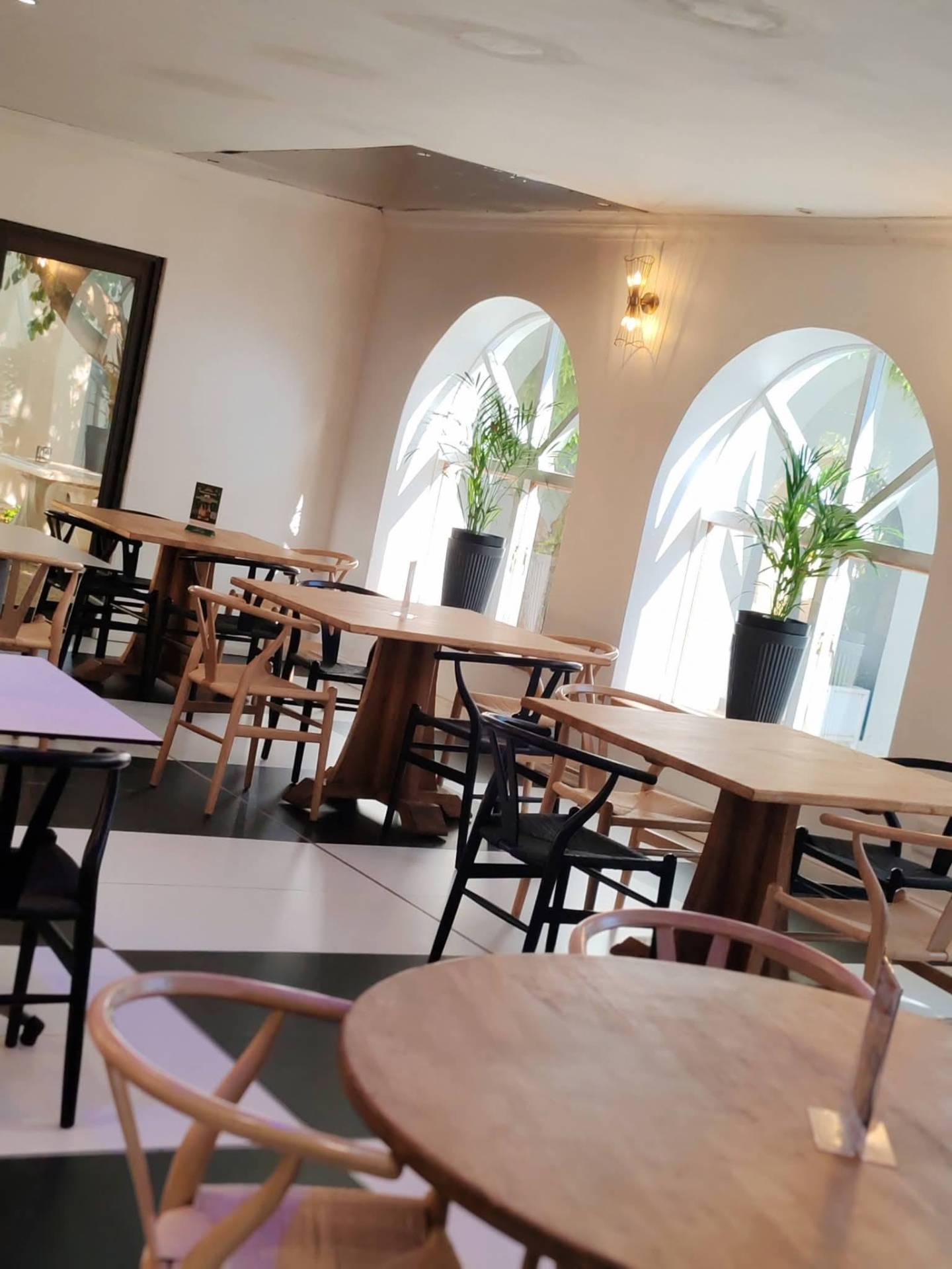 Sunlit dining hall with arched windows and wishbone chairs